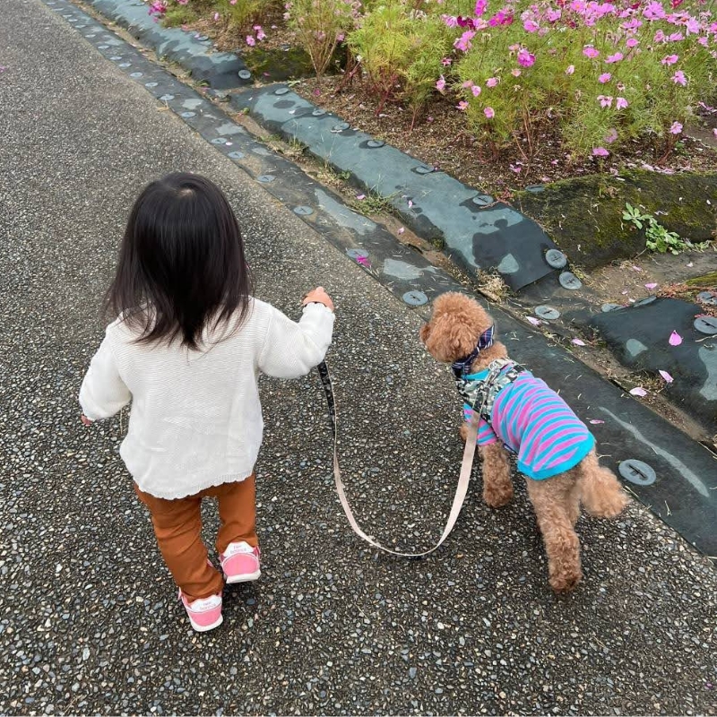 生前のワンちゃん